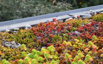 the cost of Cloy green roof installation