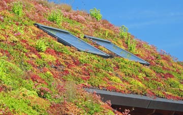 Cloy living roof systems