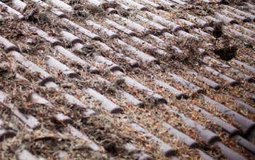 Cloy roof cleaning companies